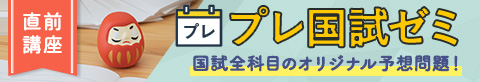 プレ国試ゼミ